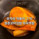 [내돈내산] 마곡 분식 청춘 꼬마김밥 초딩때 먹은 그 떡볶이 먹고 또 싸올집