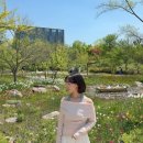 플라워오피스 | 여자 목걸이 추천 아이스볼(ICEBALL) 피어 플라워 목걸이 후기