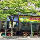 순천산식 | 순천 송광사 맛집 벌교식당 소소산식 산채정식 후기