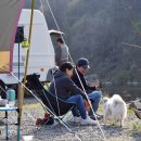 달빛별빛 이미지