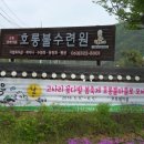 호롱불축산 이미지