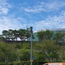 성지연꽃길 이미지