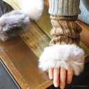 2604 이미지