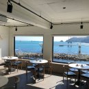 주당일지도