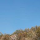 중랑캠핑숲 이미지