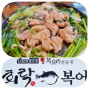 희락복어 이미지