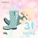 내몸을 살리는 요가(d반) | [임신 31주차] 당근중독, 빨래시작, 임산부요가 3개월차