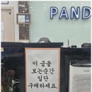 판다오라 이미지