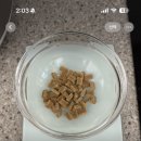 멍뭉유치원 이미지