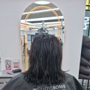 로이드밤헤어 센트럴파크점