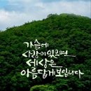 세차하는 날 이미지
