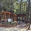 건지산숲속작은도서관 | 전주 도심 속 힐링 로드, 건지산 품안의 숲 트레킹: 전북대병원 옆 숨은 보물