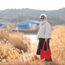 회령성