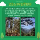 대관령 치유의 숲 이미지
