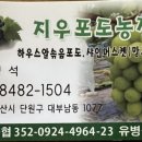 지우농장 이미지