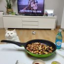 사이소축산