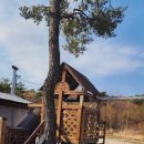 송라아쿠아 이미지