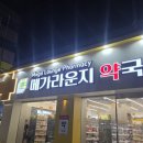 베이지동물병원 | 서울대입구역 대형 창고형 약국 추천! 메가라운지약국 방문 후기