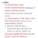 스페인 여행 자동차 렌트를 위한 국제면허증 신청 및 발급 후기