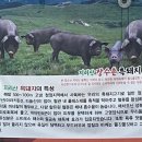 장수촌지리산흑돼지