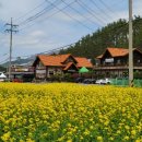 우송식당 이미지