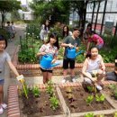 서평초교 이미지