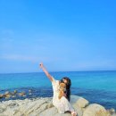 코스테펜션 | 강릉애견동반여행추천 (최일순짬뽕순두부 식당 /코스테펜션솔직후기/ 주문진수산시장후기)