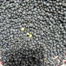 뻥튀기 아저씨 이미지