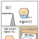 [망그러진 곰] 부앙이들아 내 생활계획표 별로야?? 이미지