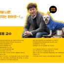 만점애견미용 이미지