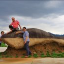 고래바위펜션 이미지