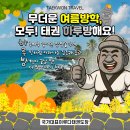 국가대표 이루다 태권도장 이미지