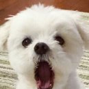 디코드한의원 이미지