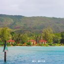 항구낚시 슈퍼 | 괌 돌핀크루즈 팁 준비물 괌 공항 픽업 샌딩