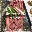 짝 | 부산 온천천맛집 봉이짝갈비 1++ 한우 짝갈비 솔직 후기
