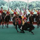 마상공연장 이미지