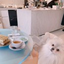 5월 연휴, 토르랑 서촌 감성카페 ‘사라브(SARAB)’에서 힐링!