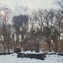 자연과 함께하는 하룻밤 이미지