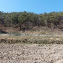 화순믿음공인중개사사무소 이미지