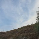 현성사 | 엄마표 역사 탐방 스물 한 번째 - 기장읍성 &amp; 기장공덕비군, 그리고 장관청
