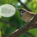 작설차를 소재로 한 영화, 적인걸2 신도해왕의 비밀