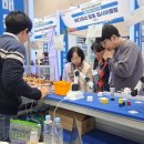 성주과일