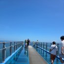 노블엔터테인먼트 | [부산 유리데크 청소] 오륙도 스카이워크 고소작업 정기관리 2회차 후기