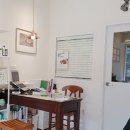 오석헌동물병원 이미지