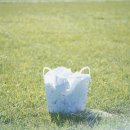 편한세탁 이미지