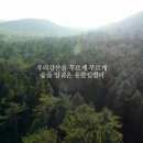 금술 이미지
