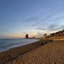 올웨이즈 반려견 미용실 이미지