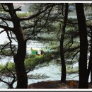 본오 초등학교 이미지