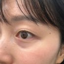더한올(The한올) 이미지