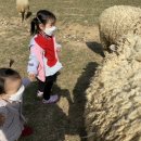 수민목장 이미지
